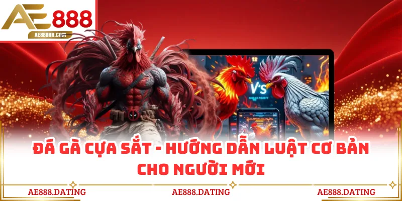 Đá Gà Cựa Sắt AE888 - Hướng Dẫn Luật Cơ Bản Cho Người Mới
